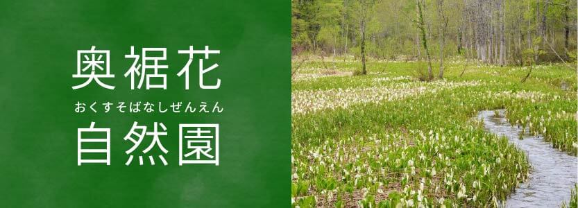 奥裾花自然園