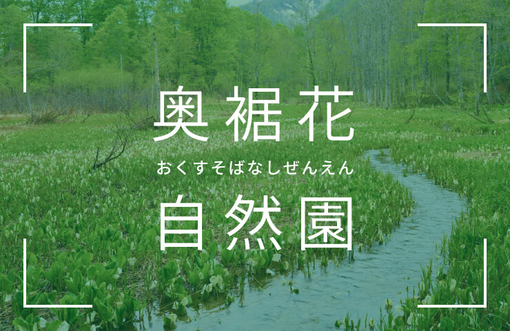 奥裾花自然園