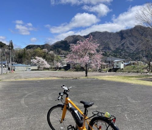 レンタサイクル