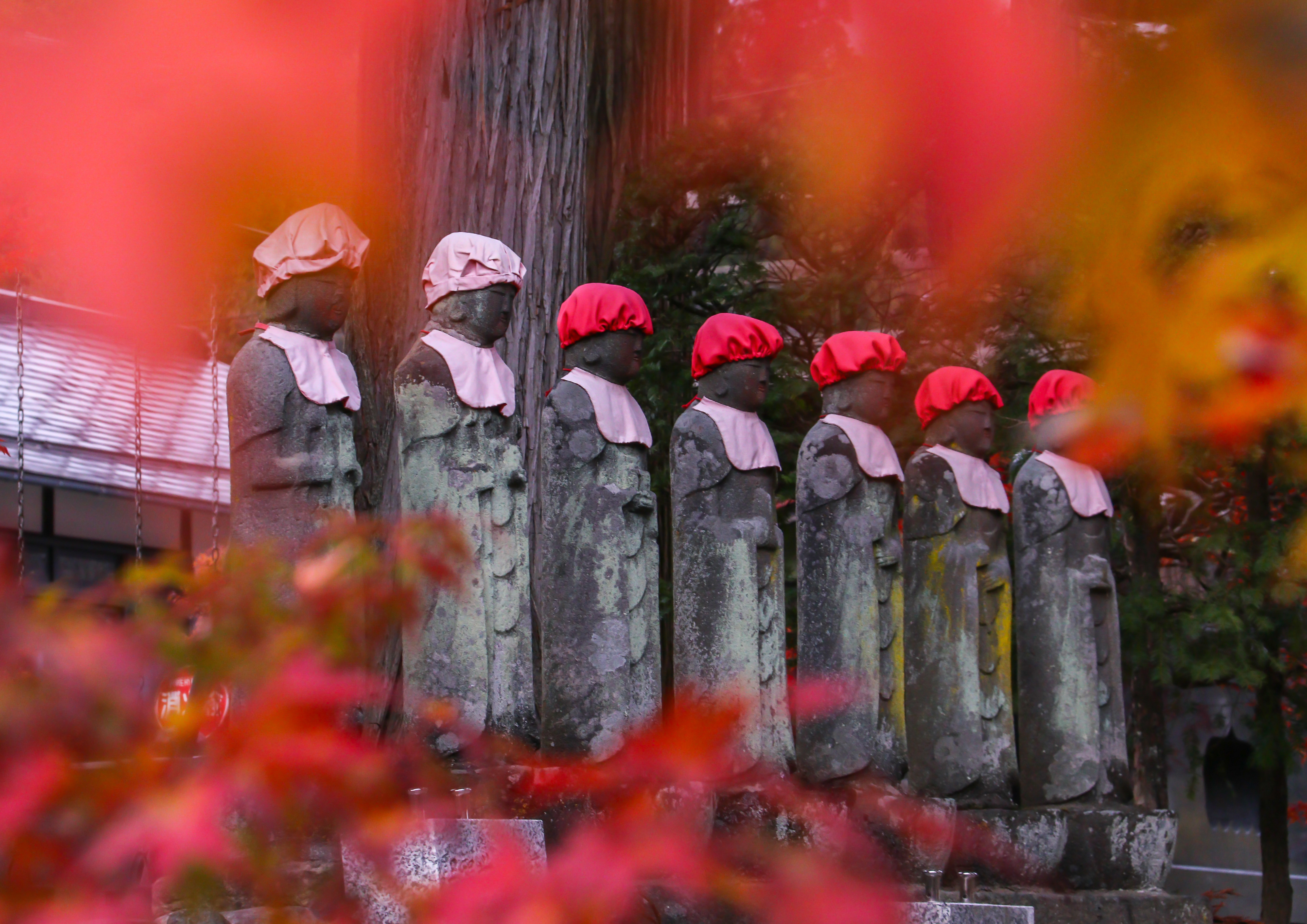 フォトコンテスト：秋の彩り