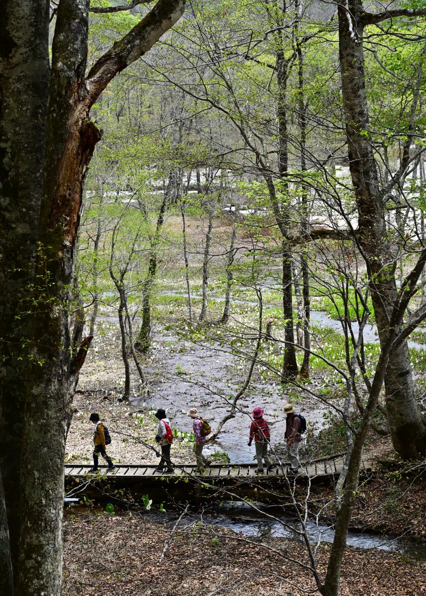 フォトコンテスト：春の訪れ
